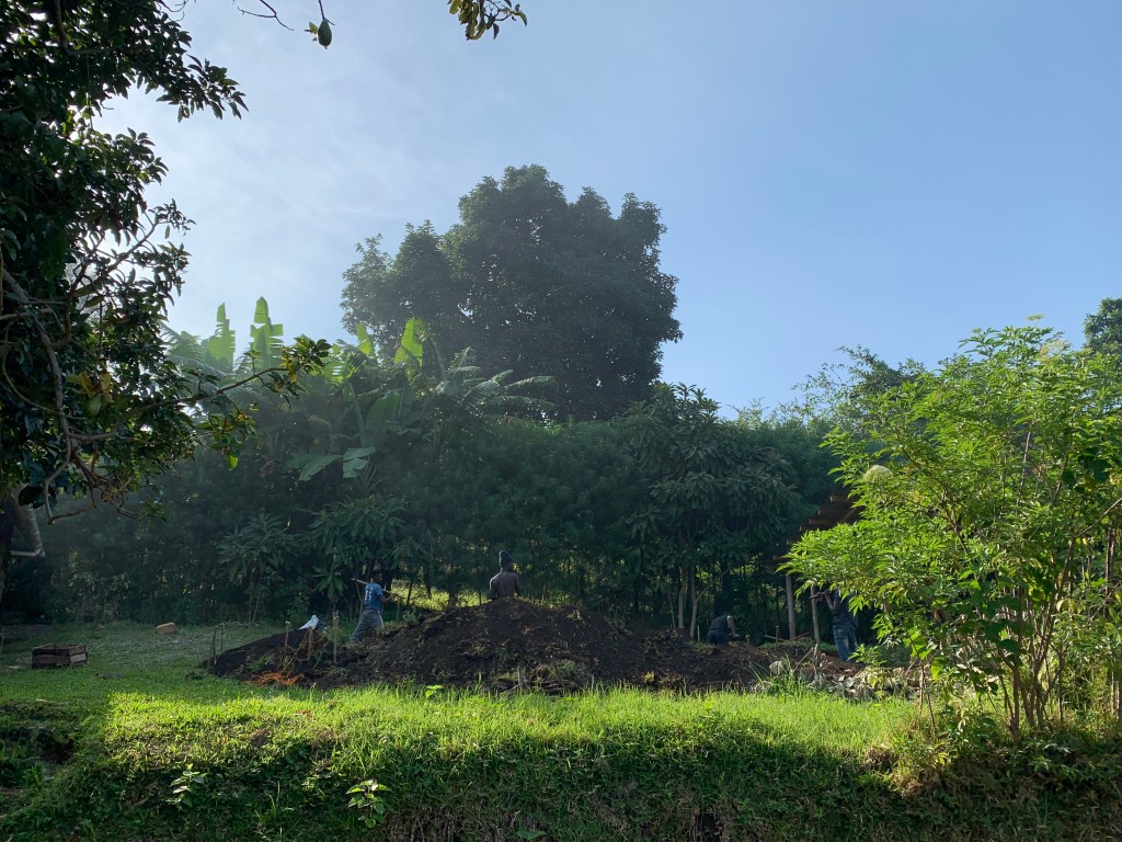 This is where the library will be